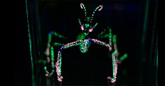 La Mantis