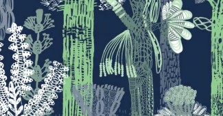 A inteligencia das plantas